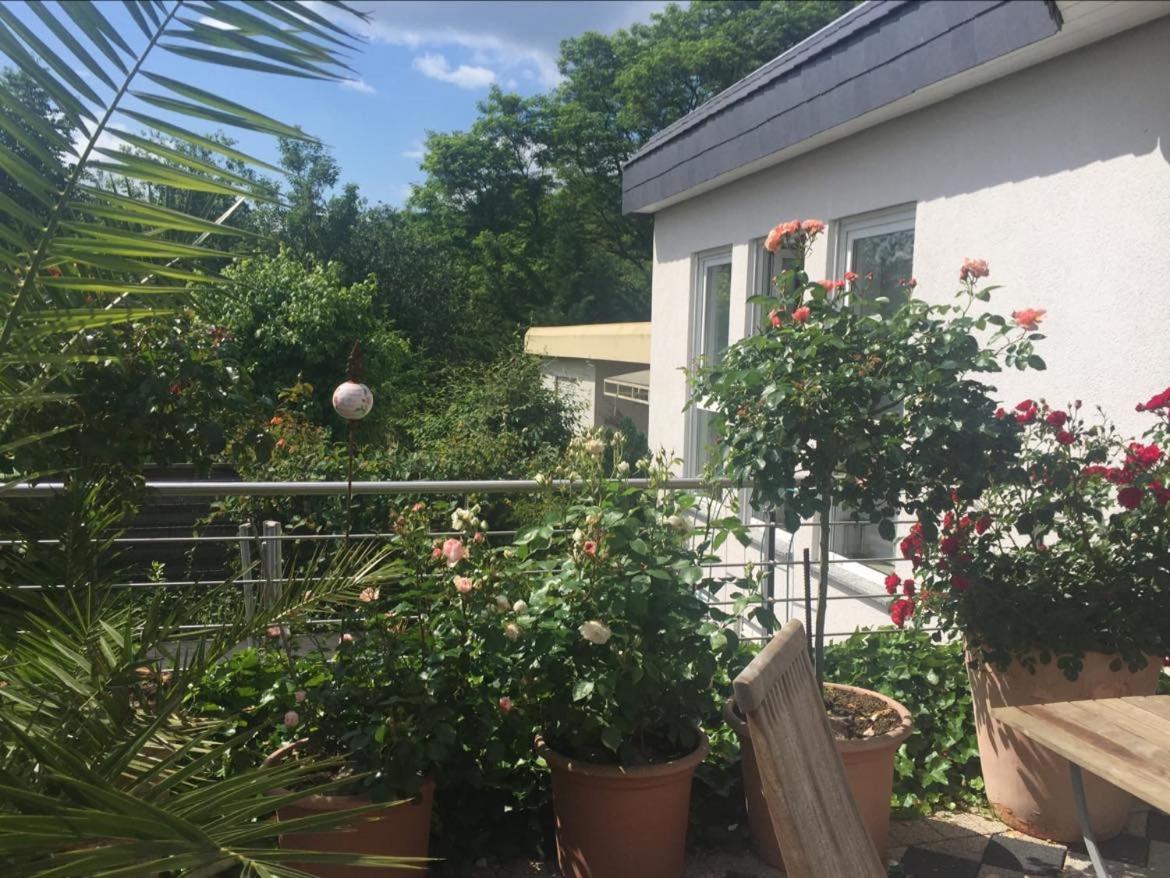Bei Annemarie Apartman Trier Kültér fotó